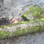 Picture 027